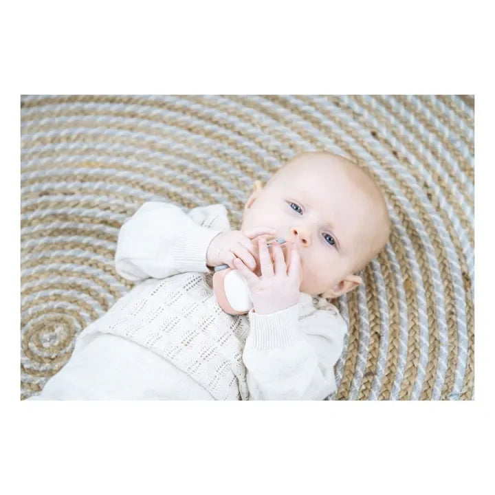 Voitures TINY BIO x 2- Dantoy