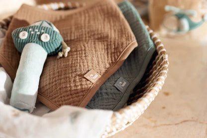 Bavoir Bandana Gaze de Coton - Sea Green/Biscuit - 2 Unités