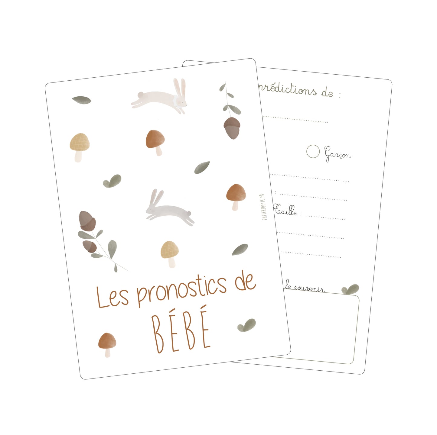 Cartes pronostics bébé “Brindilles”