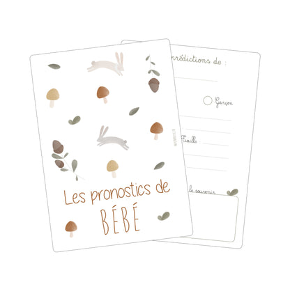 Cartes pronostics bébé “Brindilles”