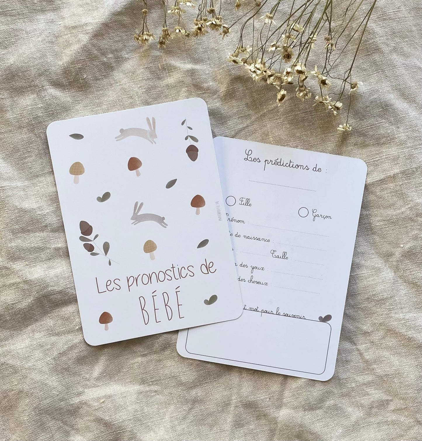 Cartes pronostics bébé “Brindilles”